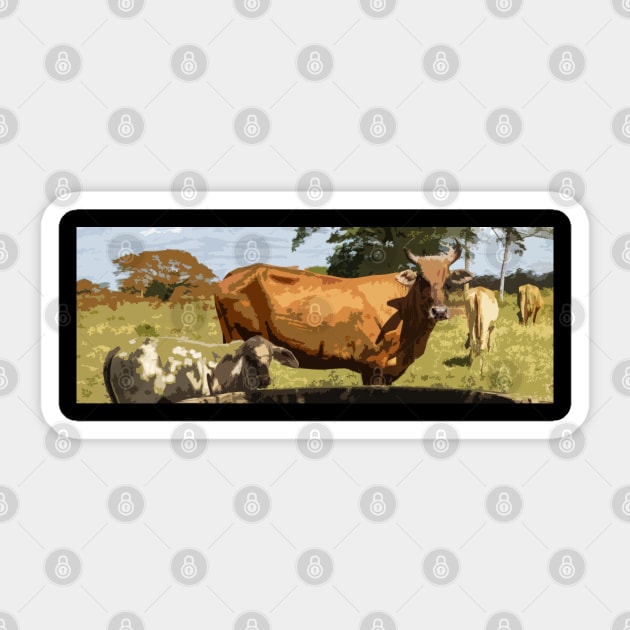 cow in the field Sticker by rickylabellevie